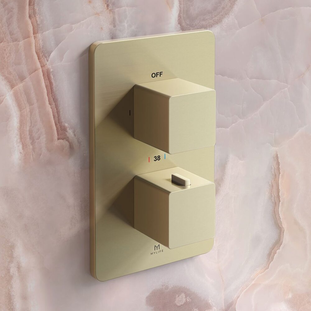 2 Outlet Wall Plate Brushed Brass - Image 4