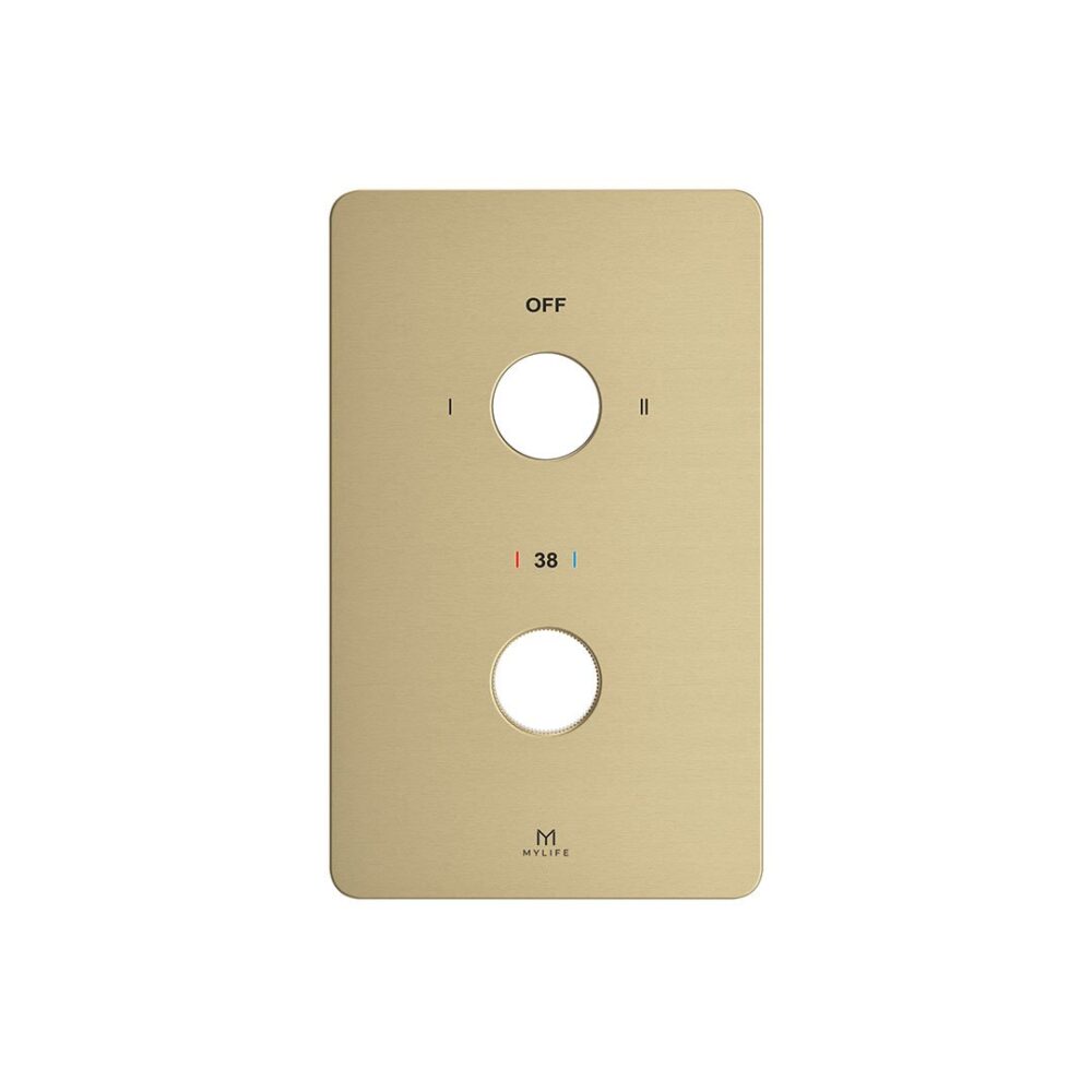 2 Outlet Wall Plate Brushed Brass