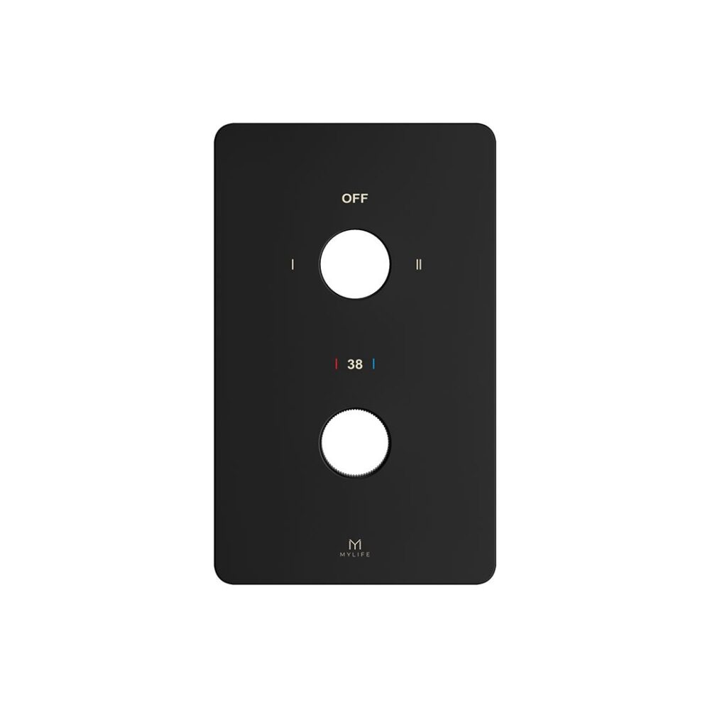 2 Outlet Wall Plate Black