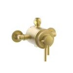 Conwy Concentric Thermostatic Mixer Valve (Exposed) - Brushed Brass
